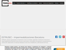 Tablet Screenshot of estrusec.com